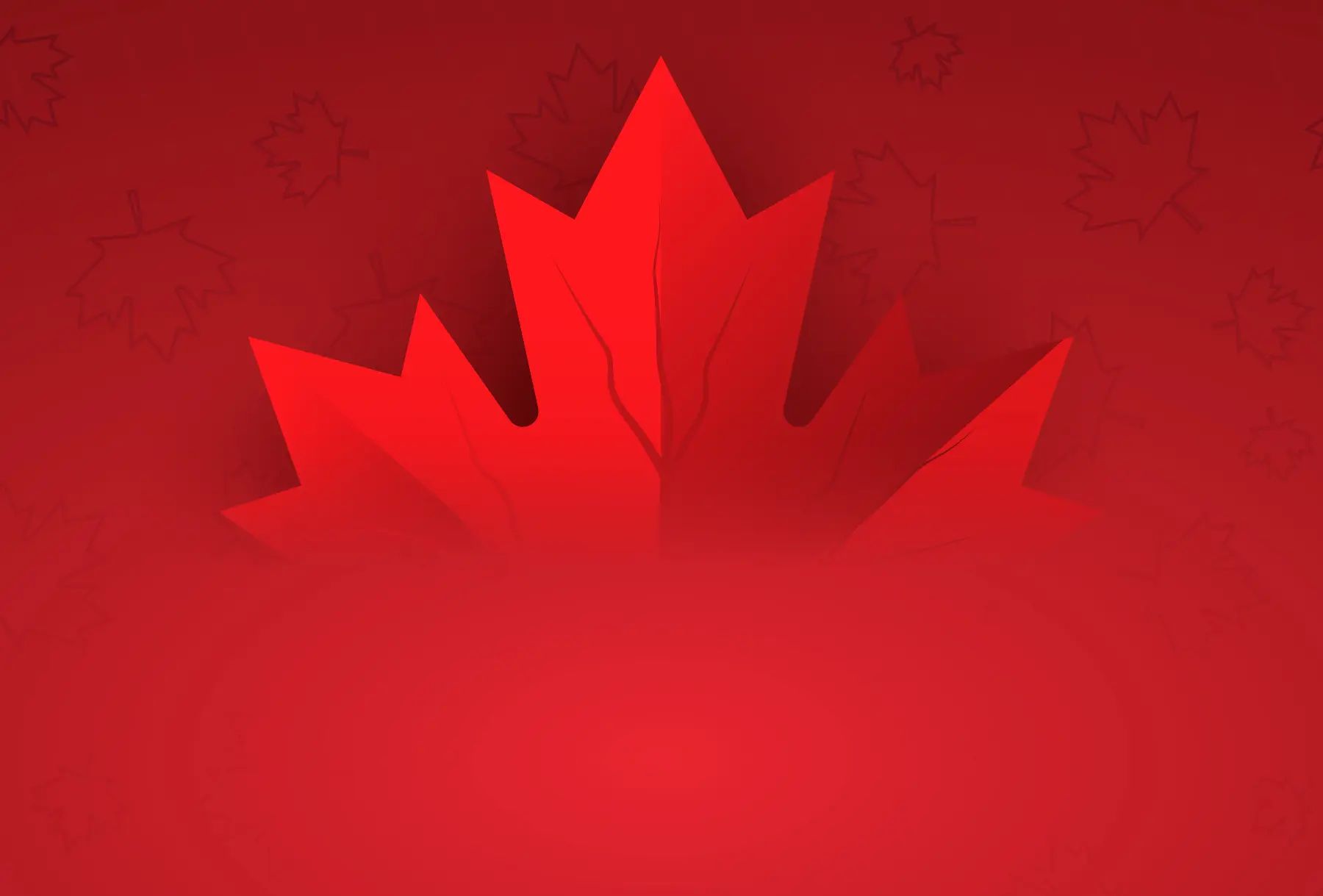 Elevate ERP Consulting Toronto & Montréal